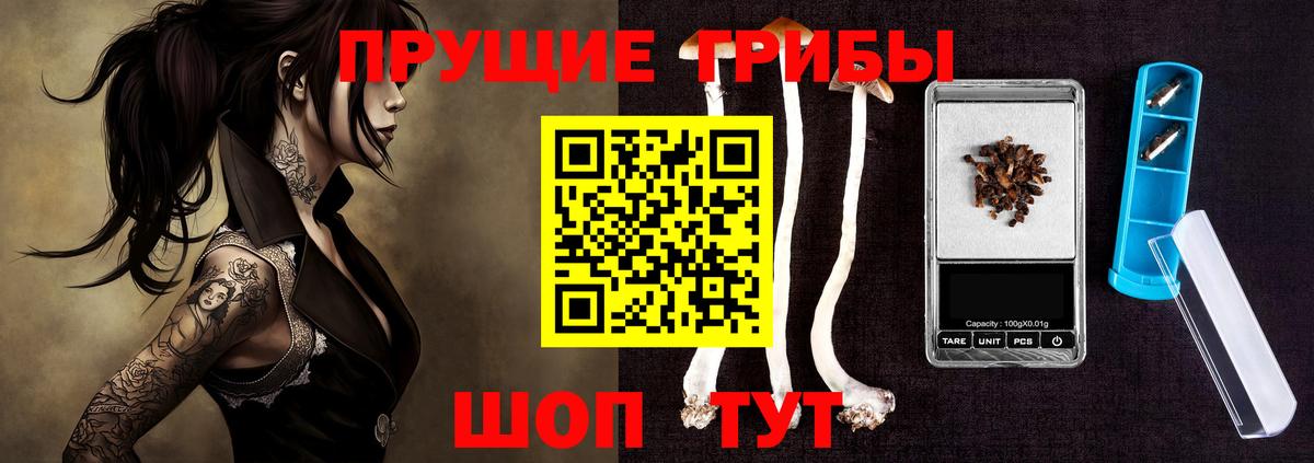 наркота  Вход с VPN  Карабулак  Галлюциногенные грибы GOLDEN TEACHER 